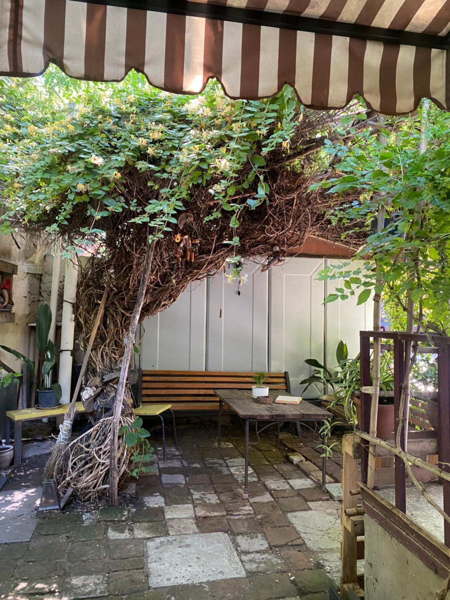 Cozy Zandukeli N15 - City Centre Tbilisi Exterior foto